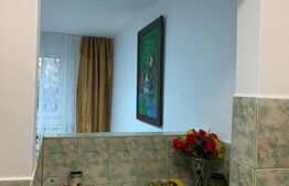 Garsonieră 21 mp, parter, recent renovată, zona liniștită, Expo Transilvania