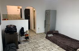 Garsonieră 21 mp, parter, recent renovată, zona liniștită, Expo Transilvania