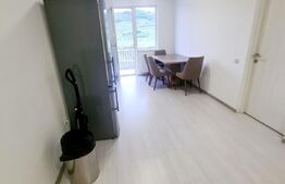 Apartament 2 camere, 40 mp, etaj intermediar, lift, zona Terra