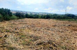 Reducere de pret!Teren intravilan, suprafata de 2506 mp, incadrare UM4, cartierul  Borhanci