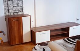 Apartament 2 camere, decomandat, mobilat, zona Florilor