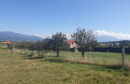 Teren intravilan de 2.187 mp, Vulcan