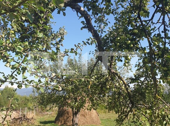 Teren de vânzare Exterior Est - 95488TV | BLITZ Brașov | Poza3