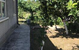 Casa 60 mp utili, teren 750 mp, zona Corneliu Coposu