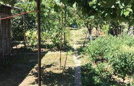 Casa 60 mp utili, teren 750 mp, zona Corneliu Coposu