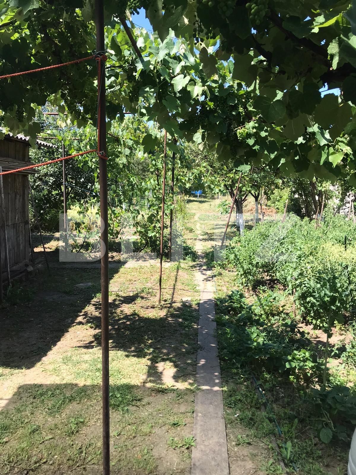 Casa de vânzare 2 camere Dambul Rotund - 95494CV | BLITZ Cluj-Napoca | Poza2