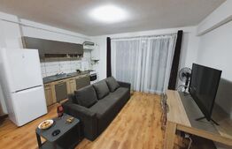 Apartament 2 camere, 52 mp, semidecomandat, zona Porii 