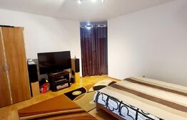 Garsoniera, 40 mp, parcare, zona Cetatii