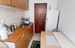 Garsoniera, 40 mp, parcare, zona Cetatii