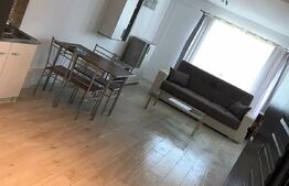Apartament cu nisa de dormit, 42 mp, zona Edgar Quinet