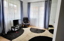 Garsoniera la cheie, parcare, balcon, zona Muzeul Apei