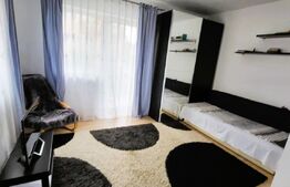 Garsoniera la cheie, parcare, balcon, zona Muzeul Apei