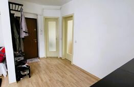 Garsoniera la cheie, parcare, balcon, zona Muzeul Apei