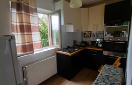 Garsoniera la cheie, parcare, balcon, zona Muzeul Apei