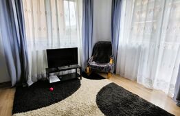 Garsoniera la cheie, parcare, balcon, zona Muzeul Apei