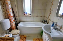 Garsoniera la cheie, parcare, balcon, zona Muzeul Apei