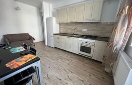 Apartament modern, 2 camere, decomandat, 42mp, zona Catanelor 