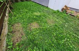 Apartament 3 camere, modern, gradina, parcare, zona strazii Ioan Rus