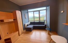 Garsoniera de 30 mp, etaj intermediar, finisata, zona Nora