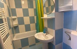 Garsoniera de 30 mp, etaj intermediar, finisata, zona Nora