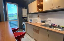 Garsoniera de 30 mp, etaj intermediar, finisata, zona Nora