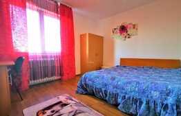 Apartament 2 camere, 55 mp,proaspat renovat, zona strazii Unirii