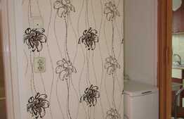 Apartament 2 camere, 55 mp,proaspat renovat, zona strazii Unirii