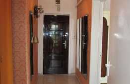 Apartament 2 camere, 55 mp,proaspat renovat, zona strazii Unirii