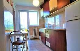 Apartament 2 camere, 55 mp,proaspat renovat, zona strazii Unirii