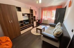 Garsoniera decomandata, 28 mp, zona strazii Mehedinti