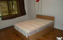 2 camere, in imobil tip casa, zona strazii Horea, 60 mp utili, cu gradina!