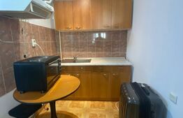 Garsoniera 25mp, imobil tip casa, zona UMF