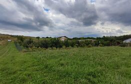 Teren intravilan, 619 mp, front de 18, Borhanci 