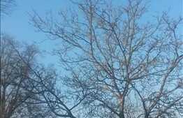 De vanzare apartament 3 camere, 80 mp, parcare, zona centrala