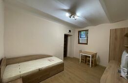 Apartament de 1 camera, 30 mp, prima inchiriere, zona Centrala