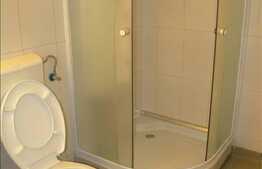 De inchiriat garsoniera, 25 mp utili, zona Ultracentrala, zona strazii Motilor