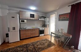 Apartament 60 mp, 2 camere, 2 balcoane, renovat nou, Eroilor