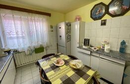 Garsoniera, 30 mp, imobil de tip casa, zona UMF