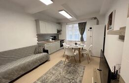 Apartament 2 camere semidecomandate,50 mp, loc de parcare, zona Taietura Turcului