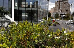 Spatiu comercial, open space, 585 mp, elegant, pentru investitie cu chiriasi 