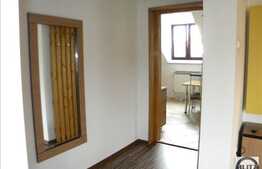 3 camere, imobil tip casa, 110 mp, A.C., zona strazii Iancu de Hunedoara