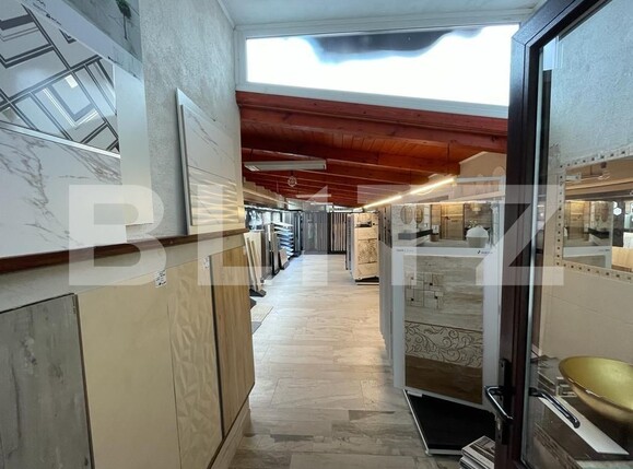 Spațiu industrial de închiriat Marasti - 95950SII | BLITZ Cluj-Napoca | Poza3