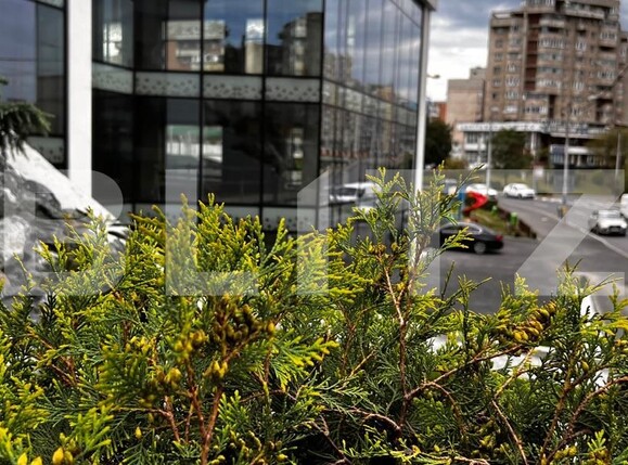 Spațiu comercial de închiriat Marasti - 95951SIC | BLITZ Cluj-Napoca | Poza16