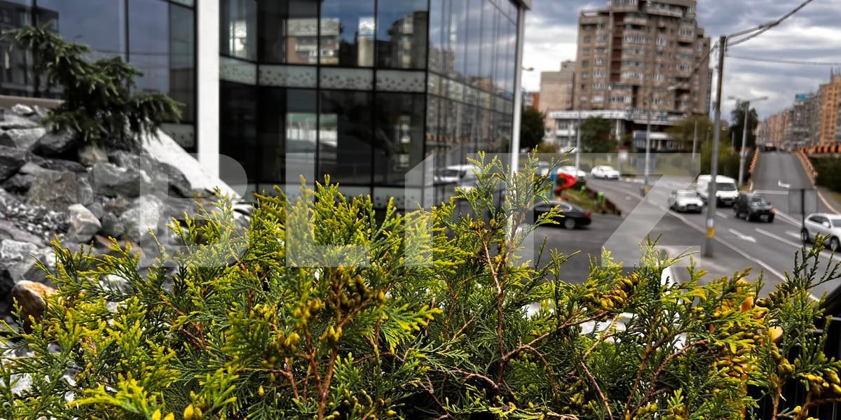 Spațiu comercial de închiriat Marasti - 95951SIC | BLITZ Cluj-Napoca | Poza16