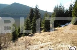 Proiect de 5* la Belis, PUD aprobat