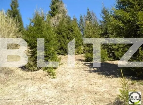 Teren de vânzare Beliș - 95963TV | BLITZ Cluj-Napoca | Poza7