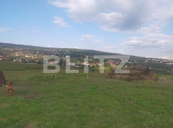 Teren de vânzare Iris - 95996TV | BLITZ Cluj-Napoca | Poza2