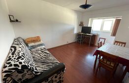 Garsoniera, 30 mp, mobilat/utilat, zona strazii Portile de Fier