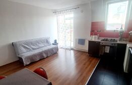 Apartament 2 camere, 53 mp, utilat, mobilat, in zona Muzeul Apei