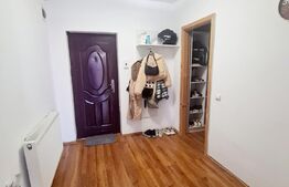 Apartament 2 camere, 53 mp, utilat, mobilat, in zona Muzeul Apei